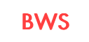Business Wise Solutions Inc